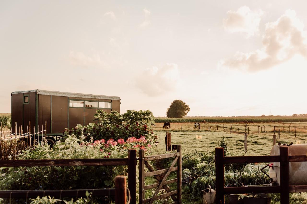 Slapen Tussen De Paarden Hotel Essen Exterior photo